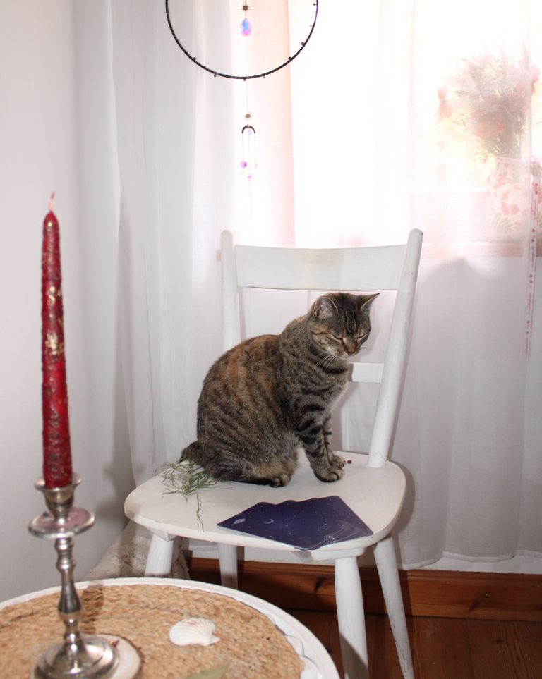 Der Blutmond ab 3. März